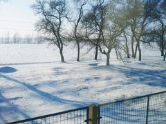 -亚布力新体委滑雪场