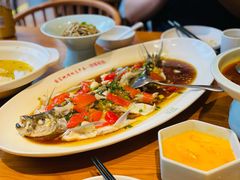 翘嘴鲌鱼-丹江渔村(望京店)