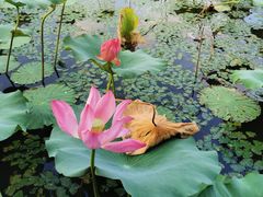 -上海市保健医疗中心