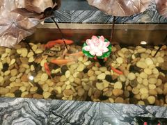 -全聚德烤鸭店(和平路店)