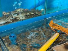 -小红门海鲜