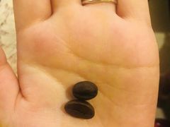 -巴厘岛黄金金兔咖啡工厂