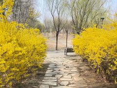 -马家湾湿地公园