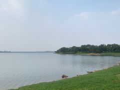 -丁香湖公园
