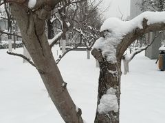-木塔寺遗址生态公园