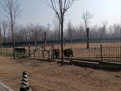 -秦皇岛野生动物园