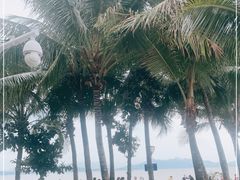 -深圳湾公园(南山区)