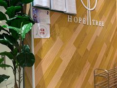 -许小树(国贸商城店)