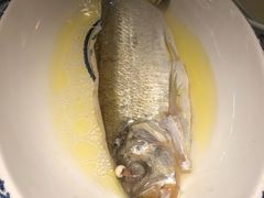 鸡汁长江白鱼-南京大牌档(济南万象城店)