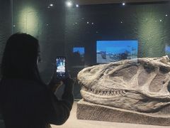 -自贡恐龙博物馆