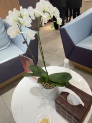 -Yestar宁波艺星整形医院