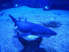 -成都浩海立方海洋公园