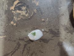 -博鳌悠然·忠锐杂粮茶餐厅