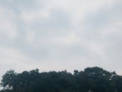 -峨眉山报国寺