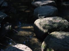 -燕晗山郊野公园