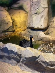 -酷嗒动物文化乐园(cutezoo西溪乐天城店)