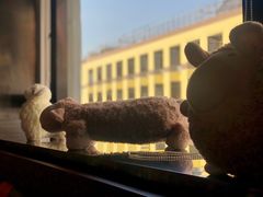 窗边的小绵羊-九府羊·鲜羊火锅·烤串(新华路店)