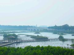 android_upload_pic-大湾区中央湿地公园