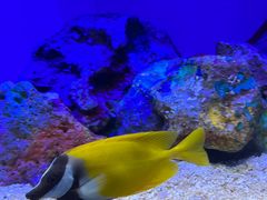 -上海海洋水族馆