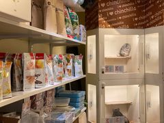 -龙猫仔乐园(惠福东路店)