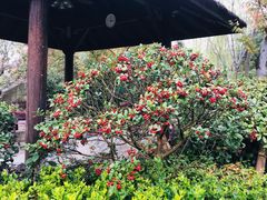 -溧阳天目湖天沐温泉