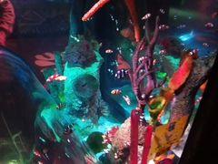 -沈阳海洋探索中心