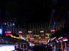 -刘姐啤酒鱼民族演艺餐厅(西街总店)