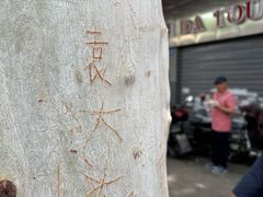 -袁大头包子(光华路店)
