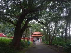 -福清灵石山国家森林公园