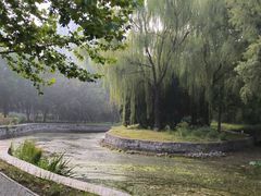 -望湖公园