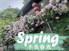 -老门东历史文化街区