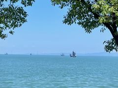 -苏州湾体育公园