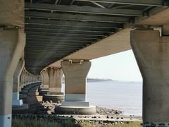 -芦潮港集贸市场