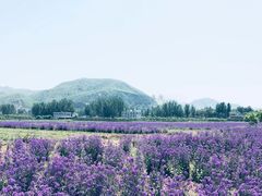 -狼牙山风景区