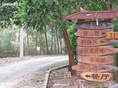-林丰温泉度假山庄