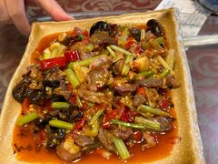 -青城甲(青城山店)