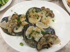 带子-四海之家(蛇口店)