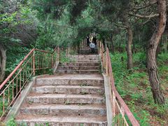 -灵山
