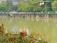 -成都市活水公园