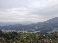 -紫鹊界梯田景区
