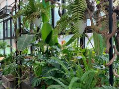 -北马山庄植趣咖啡