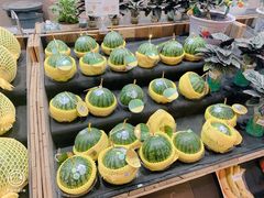 -果蔬好生活超市(乐堤港店)