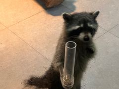 -常州海昌海洋探索馆