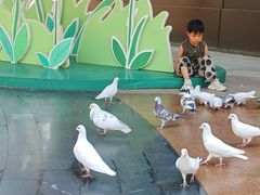 -中粮·祥云小镇