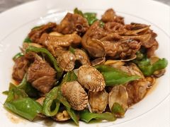 -1937青岛老味道·海肠捞饭·青岛菜(大鲍岛栈桥店)