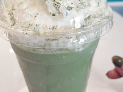 -飞行喵MR PILOT|猫舍·猫咖(静安大融城店)