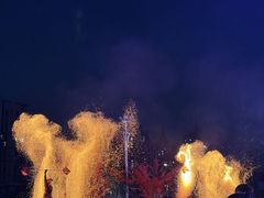 -海合安武汉极地海洋公园