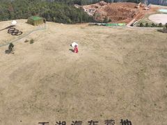 -刘伯温故里景区百丈漈