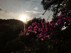 -仙岳公园