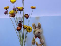 -好宜家眼视光·蔡司店(临汾店)